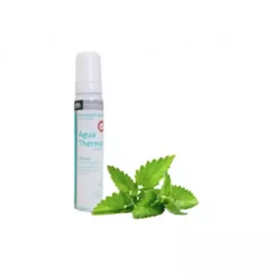 Imagem de Água Thermal Menta 200ml